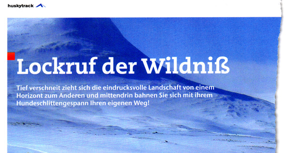 Die Wildnis lockt